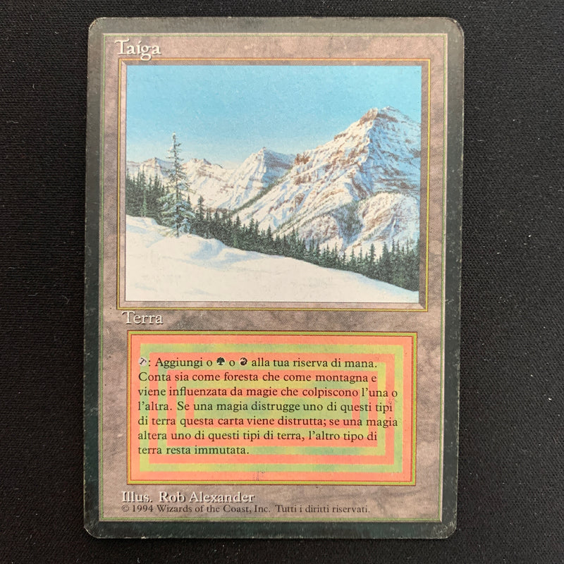 Magic the Gathering Taiga - Foreign Black Bordered - Italian 