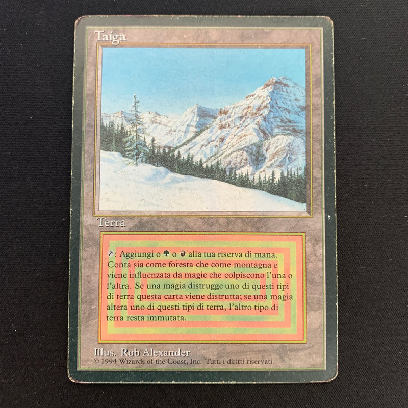 Magic the Gathering Taiga - Foreign Black Bordered - Italian 