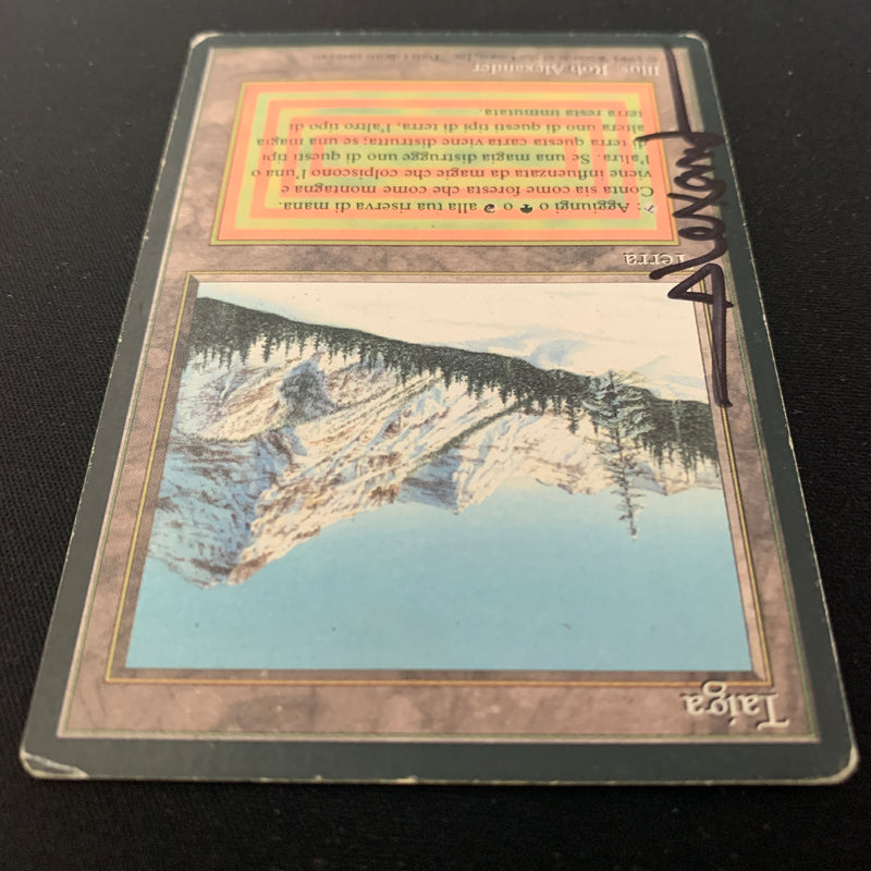 Magic the Gathering Taiga - Foreign Black Bordered - Italian 