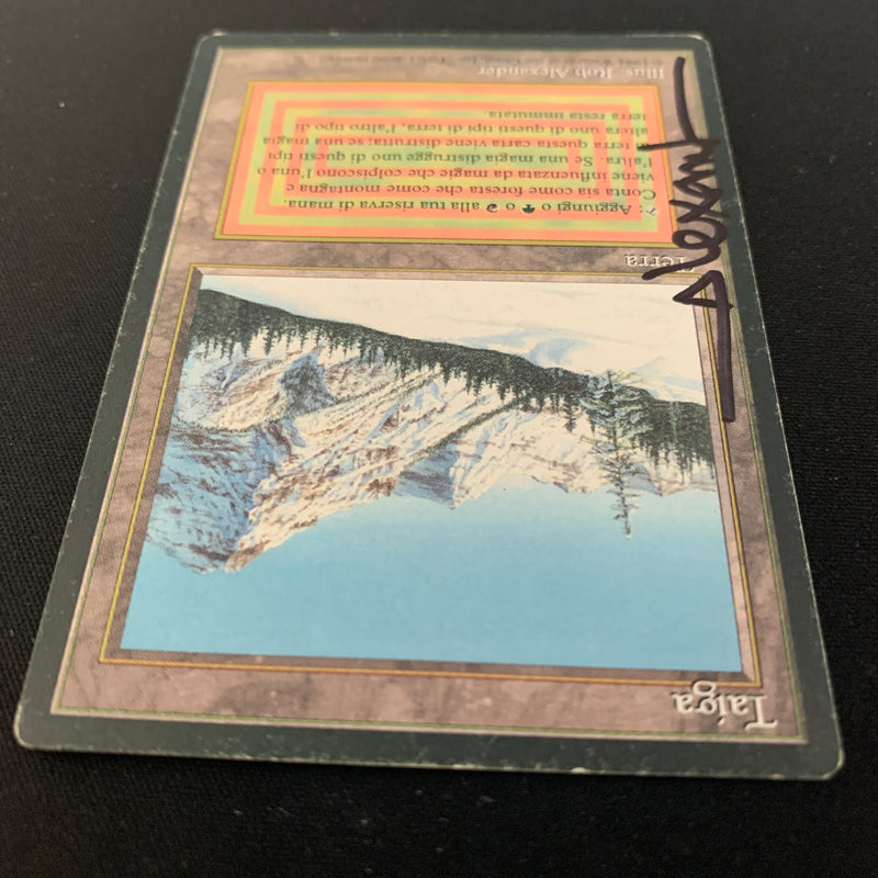 Magic the Gathering Taiga - Foreign Black Bordered - Italian 