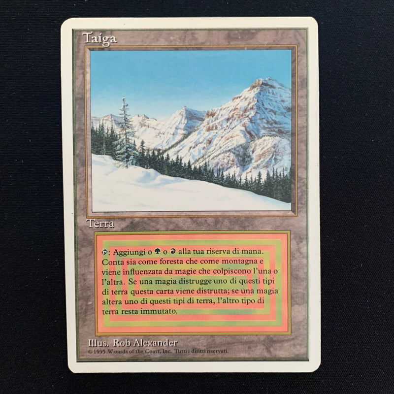 Magic the Gathering Taiga - Foreign White Bordered - Italian EX - 23496