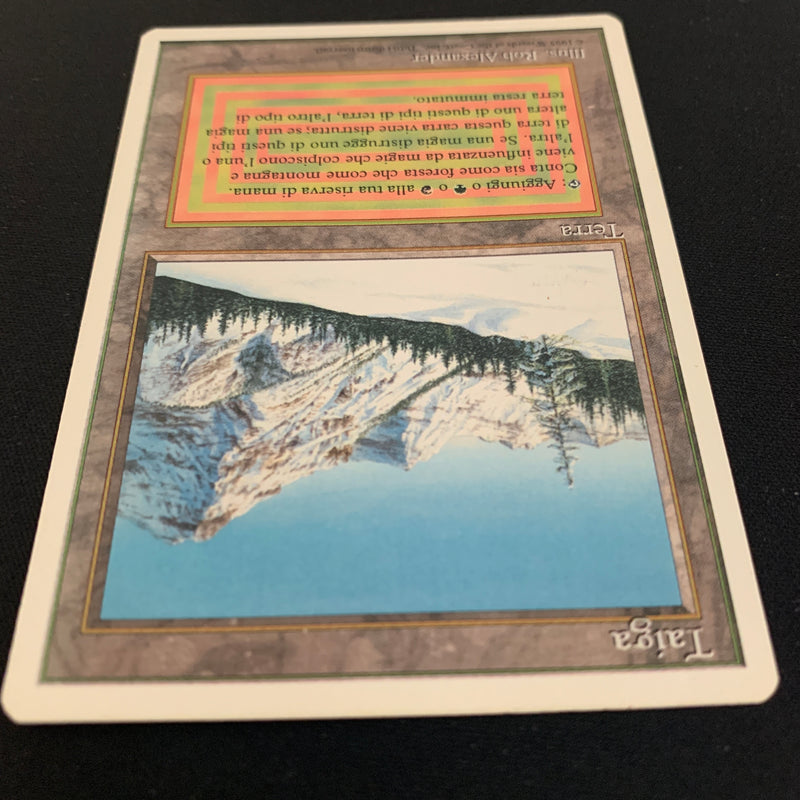 Magic the Gathering Taiga - Foreign White Bordered - Italian 