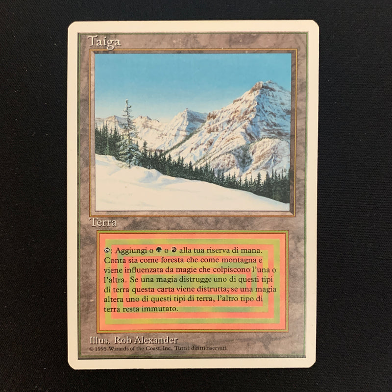 Magic the Gathering Taiga - Foreign White Bordered - Italian EX - 24529