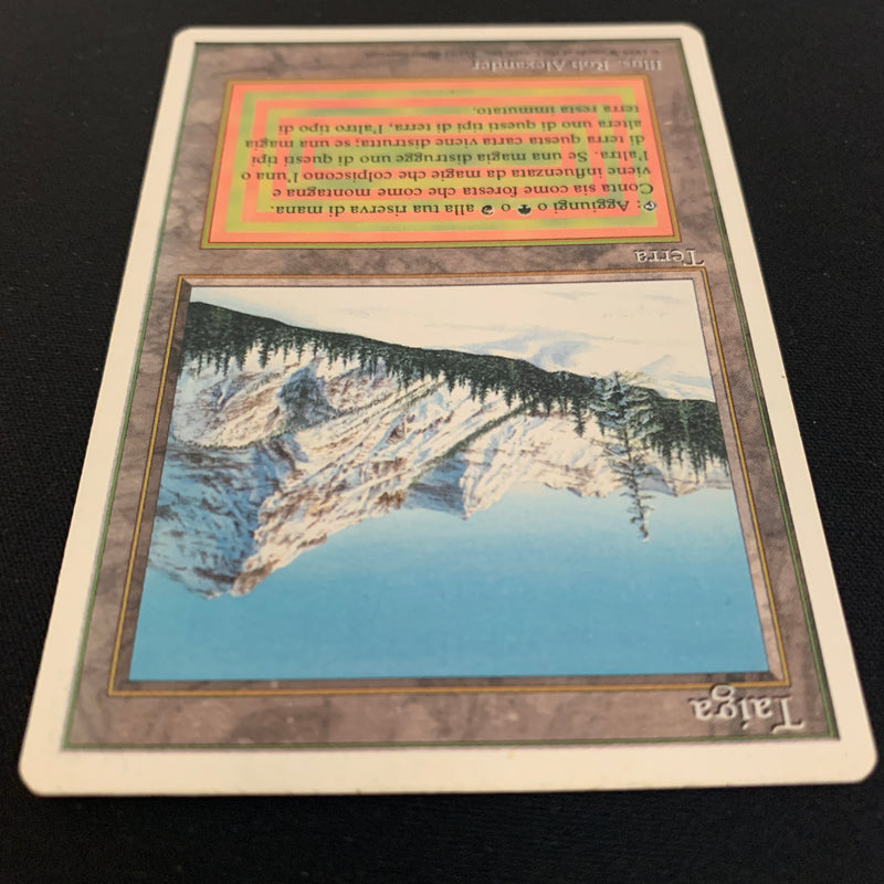 Magic the Gathering Taiga - Foreign White Bordered - Italian 