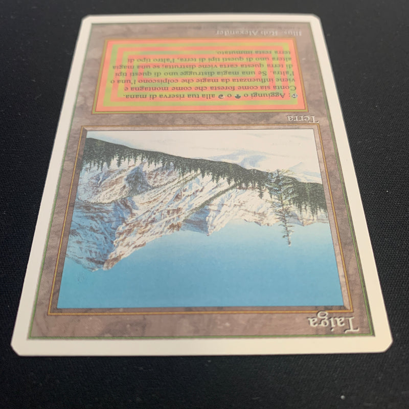 Magic the Gathering Taiga - Foreign White Bordered - Italian 