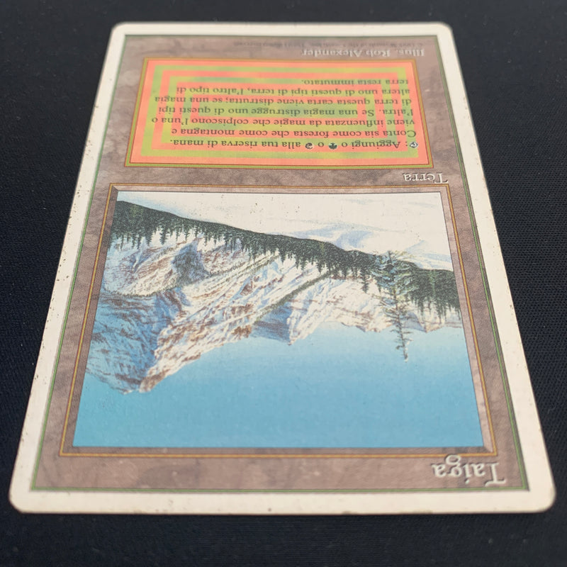 Magic the Gathering Taiga - Foreign White Bordered - Italian 