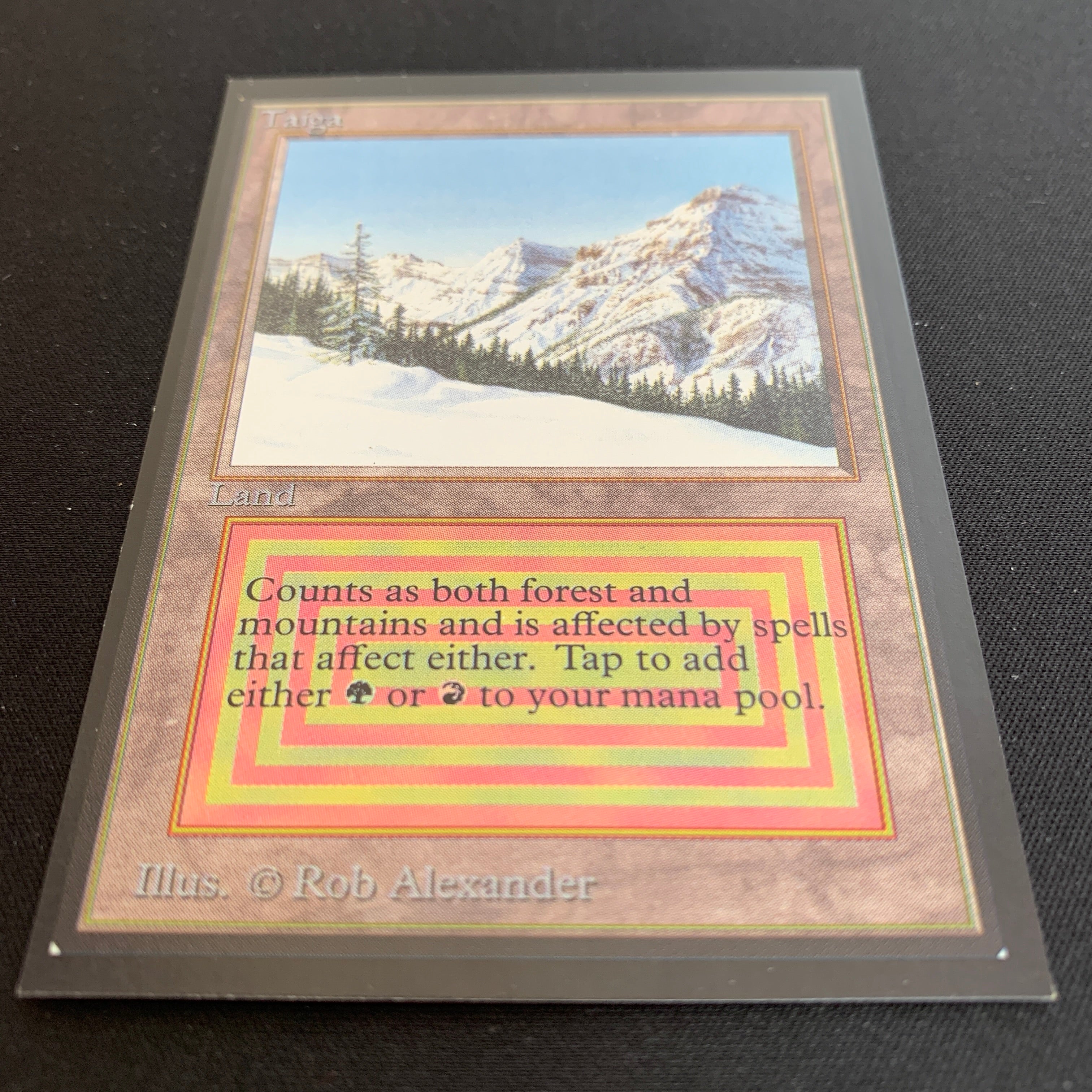 MTG Singles - Taiga - International Edition - 