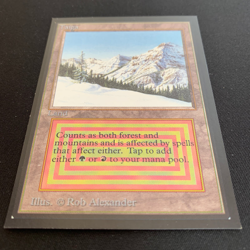 Magic the Gathering Taiga - International Edition 