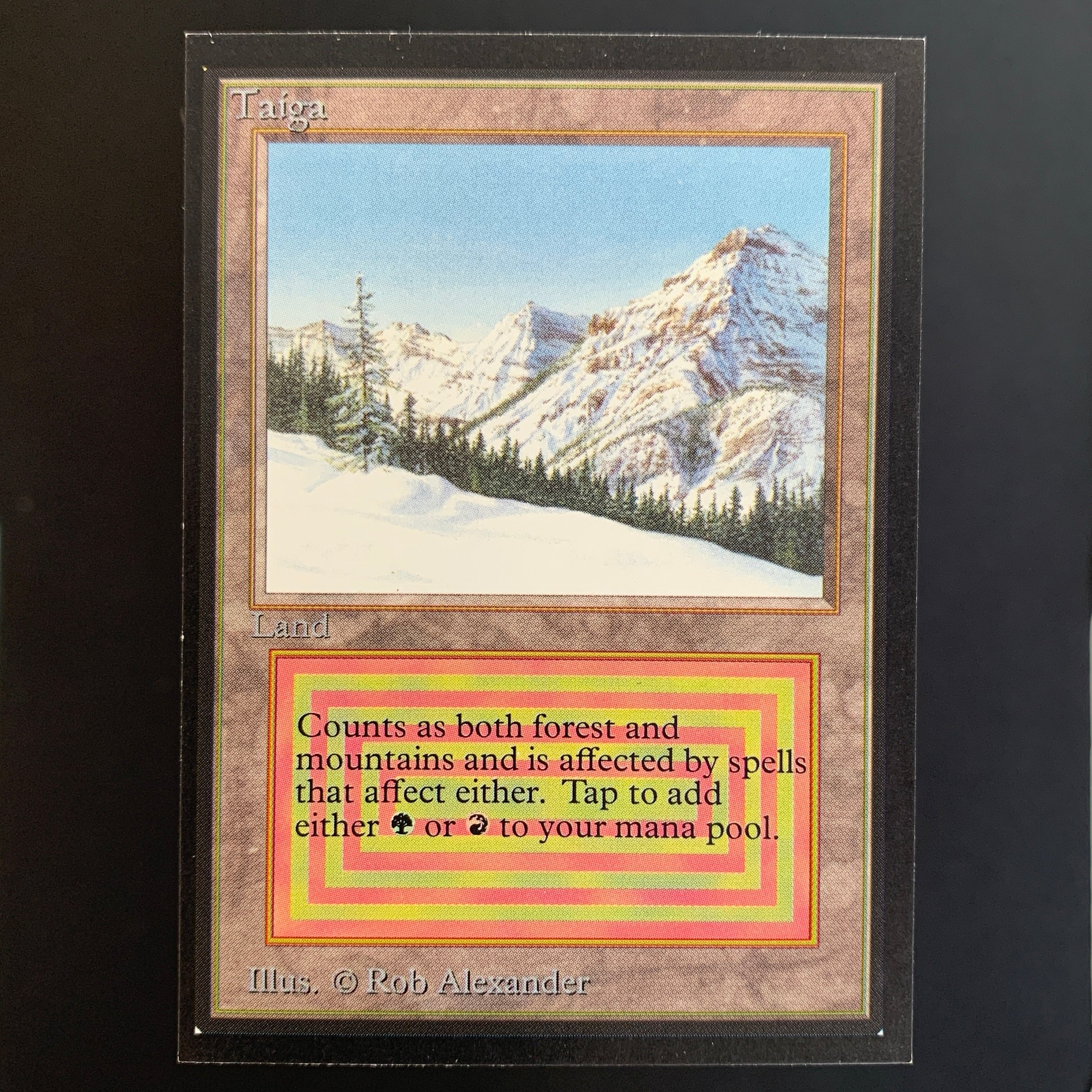 MTG Singles - Taiga - International Edition - 