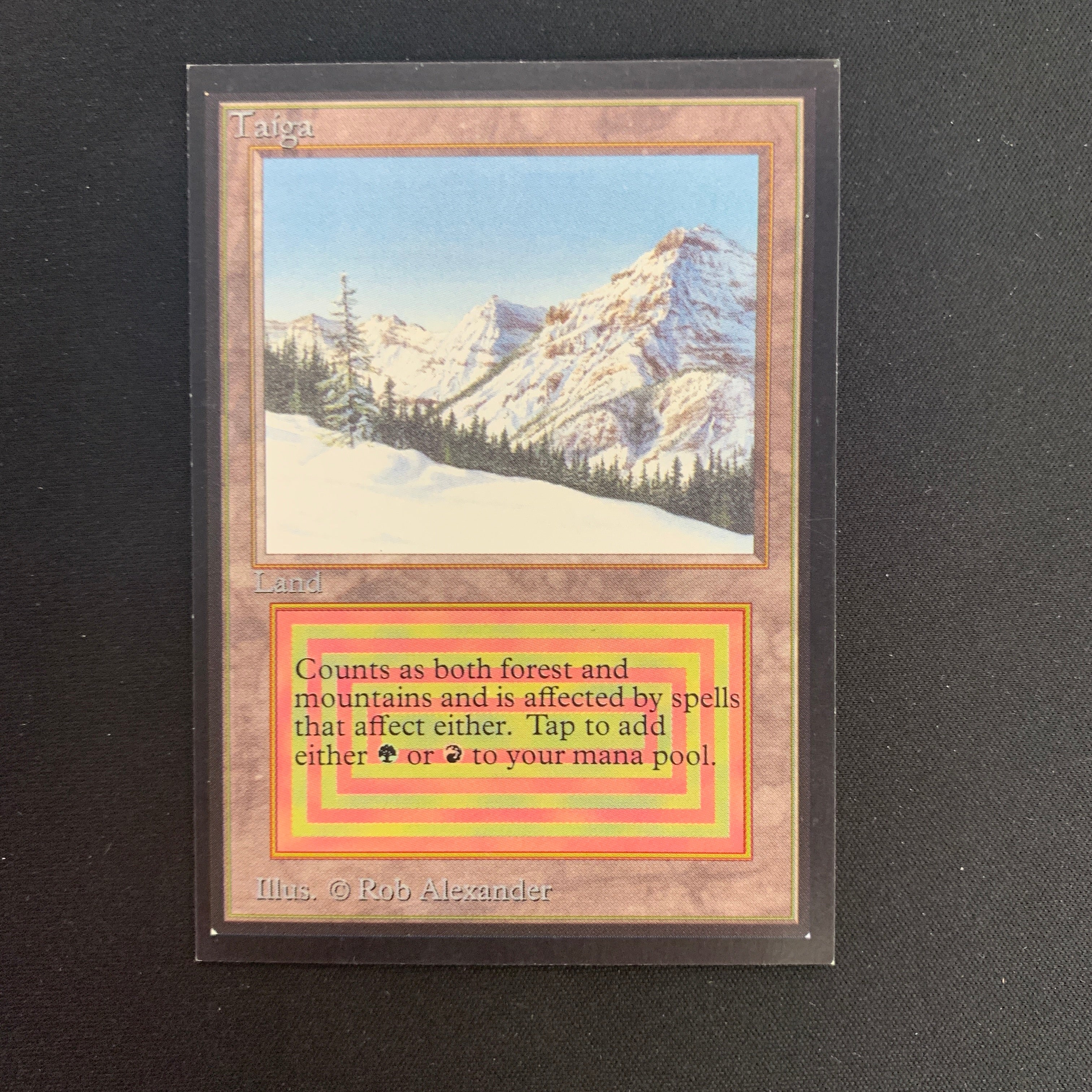 MTG Singles - Taiga - International Edition - 