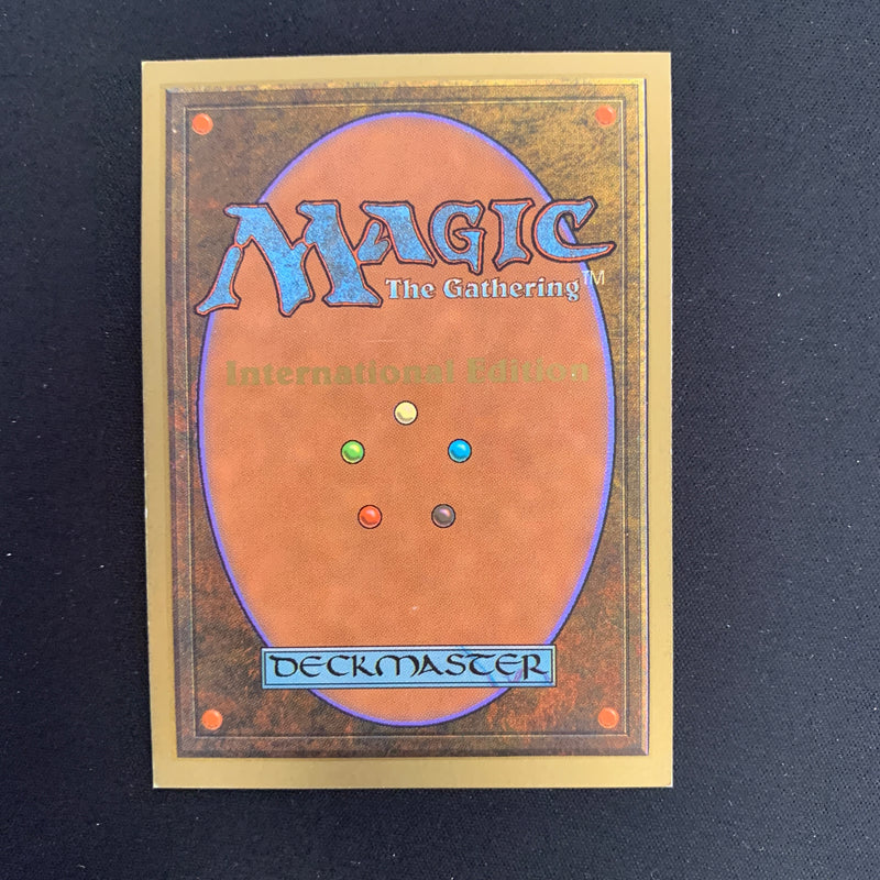 Magic the Gathering Taiga - International Edition 