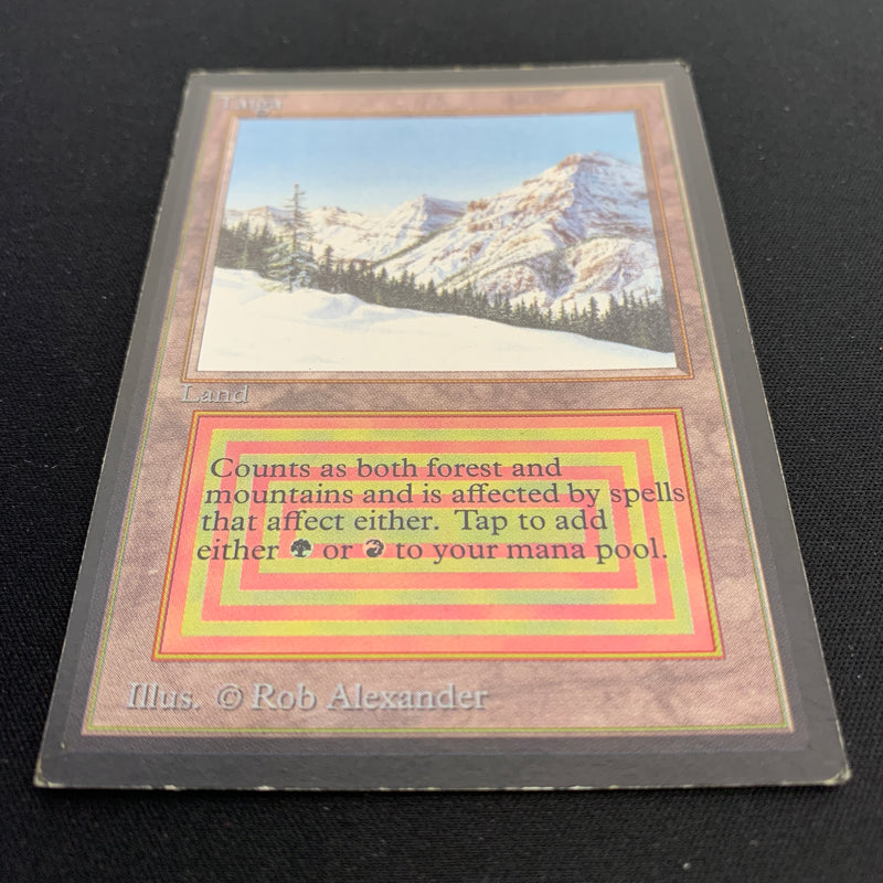 Magic the Gathering Taiga - International Edition 