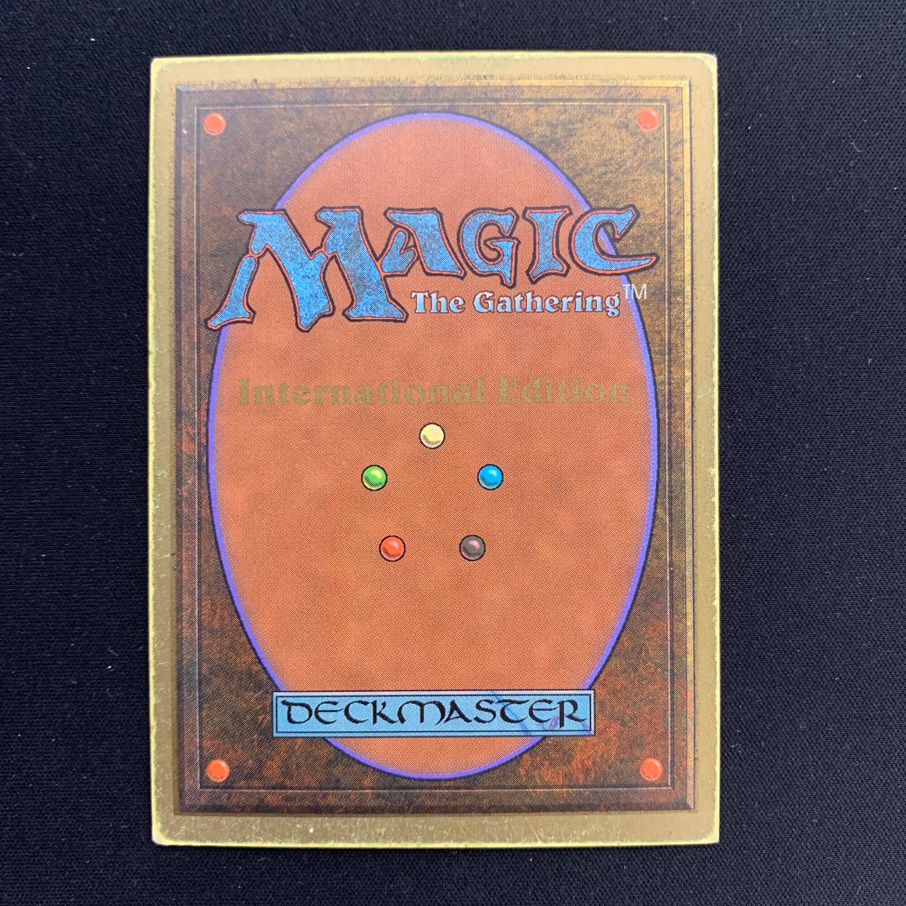 MTG Singles - Taiga - International Edition - 