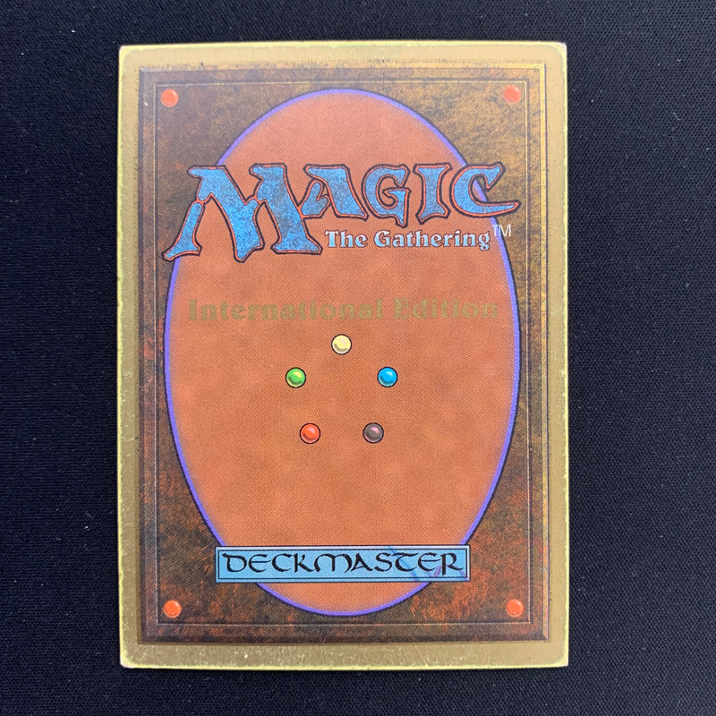 Magic the Gathering Taiga - International Edition 