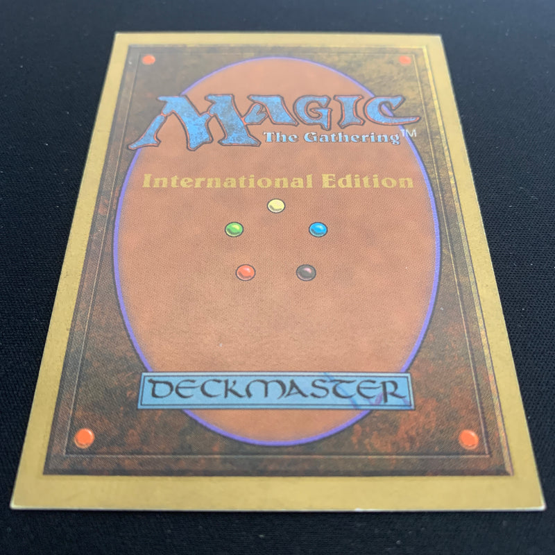 Magic the Gathering Taiga - International Edition 