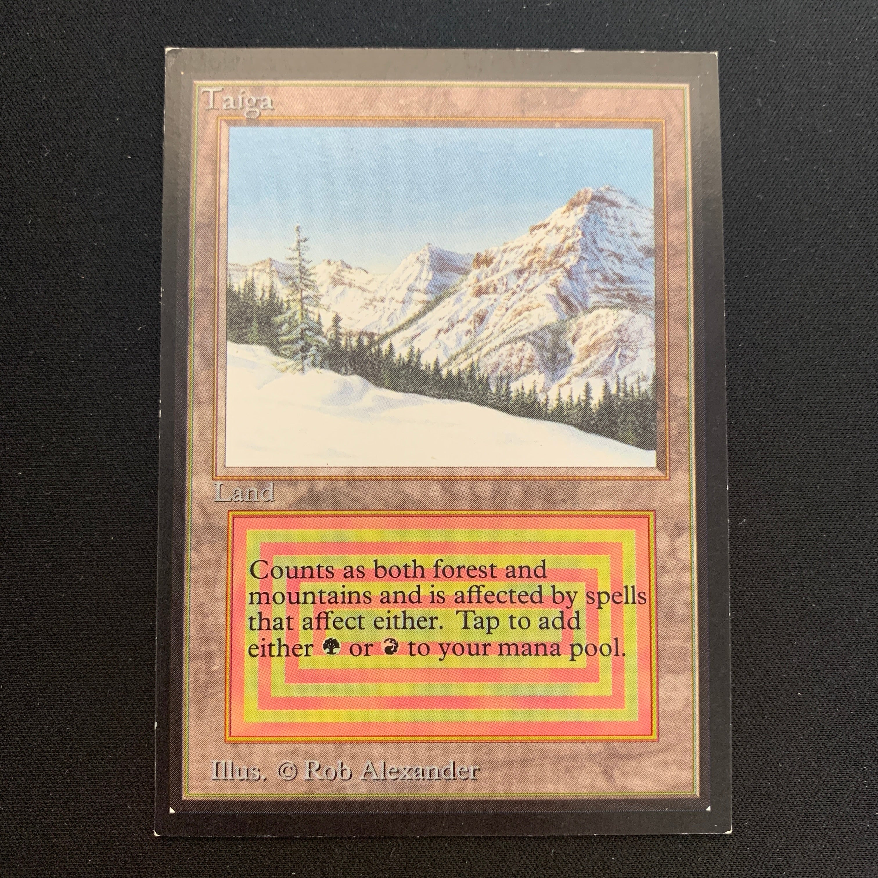 MTG Singles - Taiga - International Edition - 