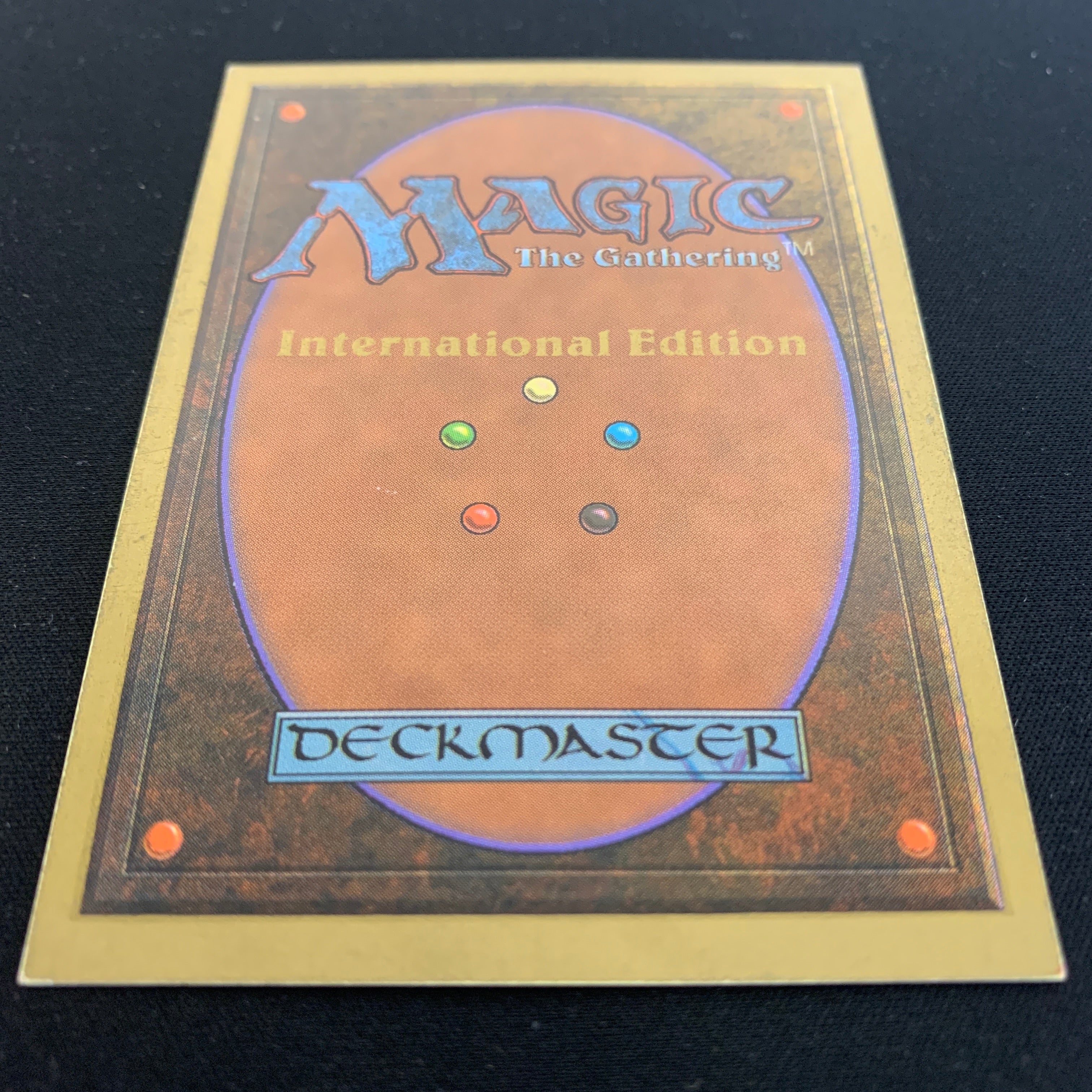 MTG Singles - Taiga - International Edition - 