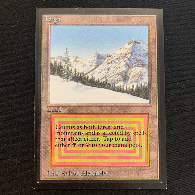 Magic the Gathering Taiga - International Edition 