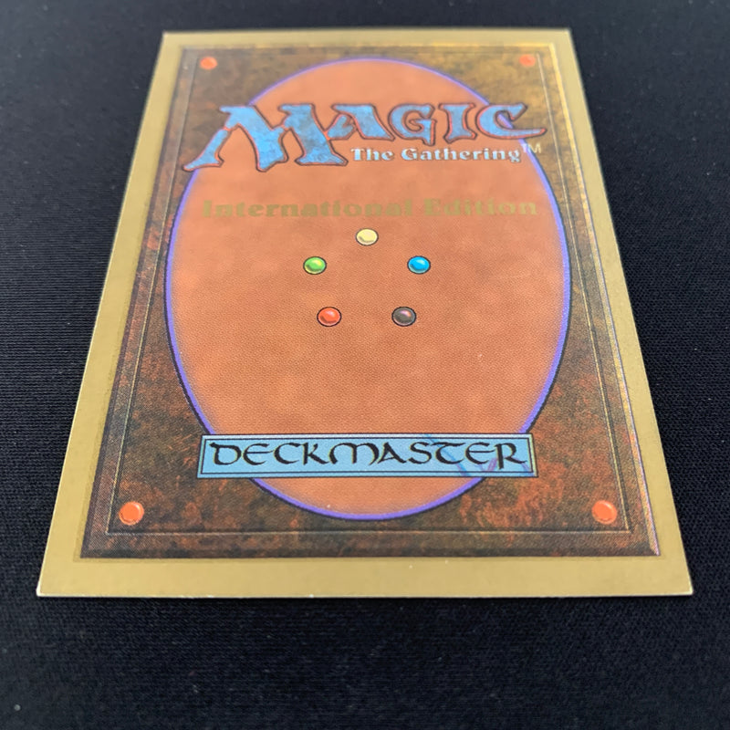 Magic the Gathering Taiga - International Edition 