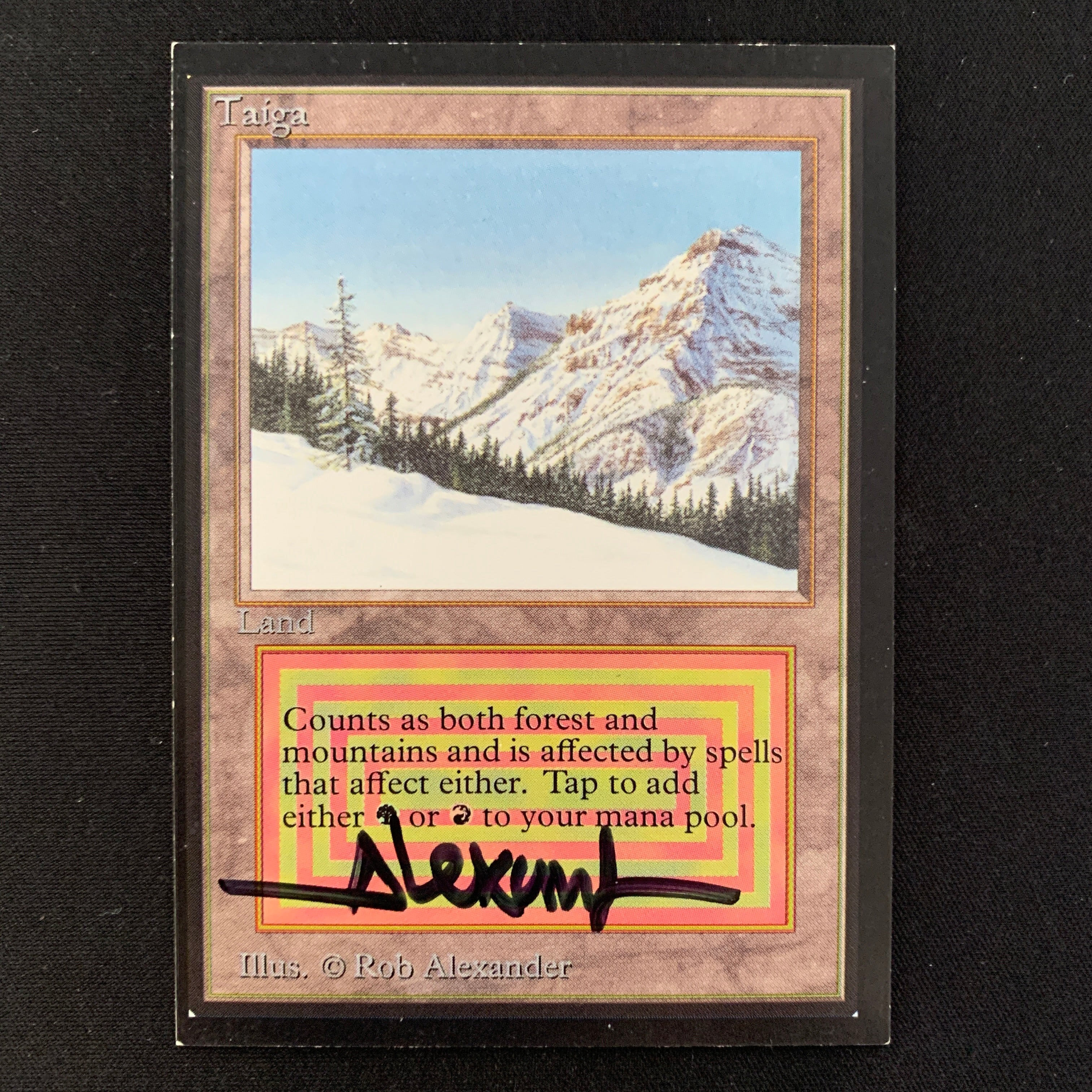 MTG Singles - Taiga - International Edition - 