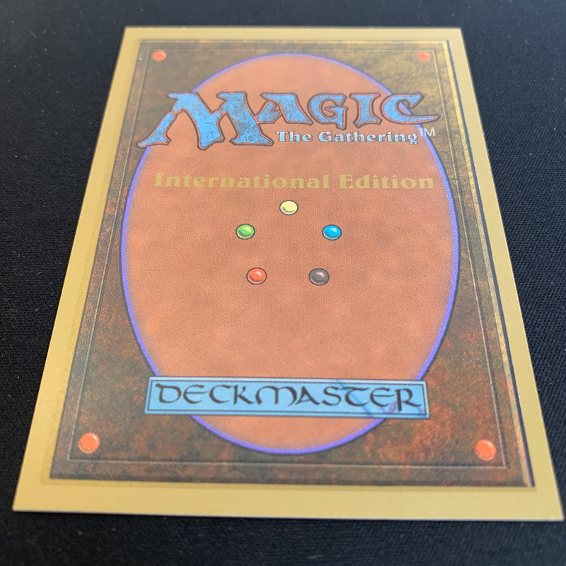 Magic the Gathering Taiga - International Edition 