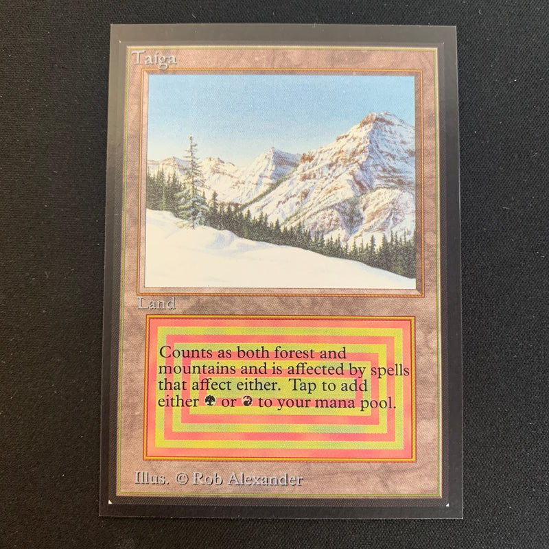 Magic the Gathering Taiga - International Edition 