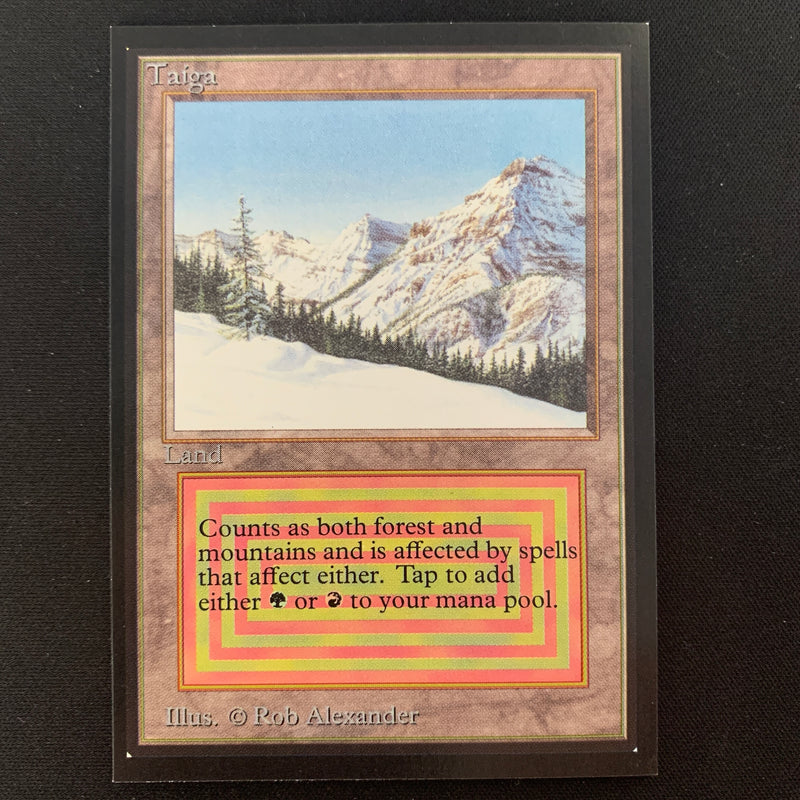 Magic the Gathering Taiga - International Edition 