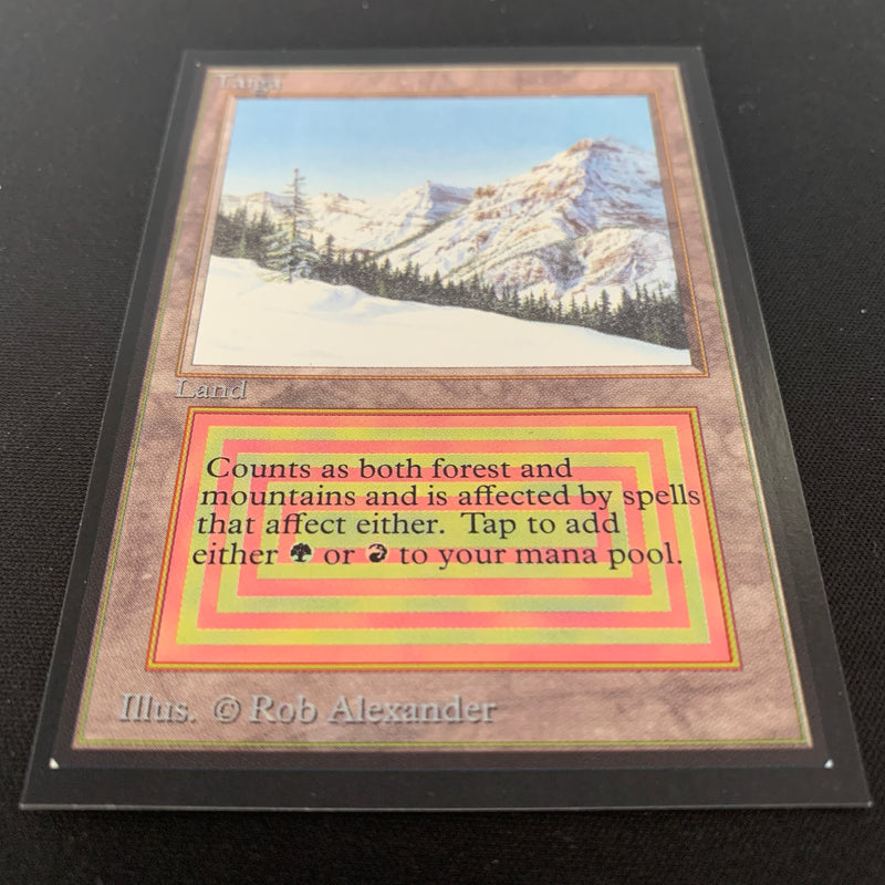 Magic the Gathering Taiga - International Edition 