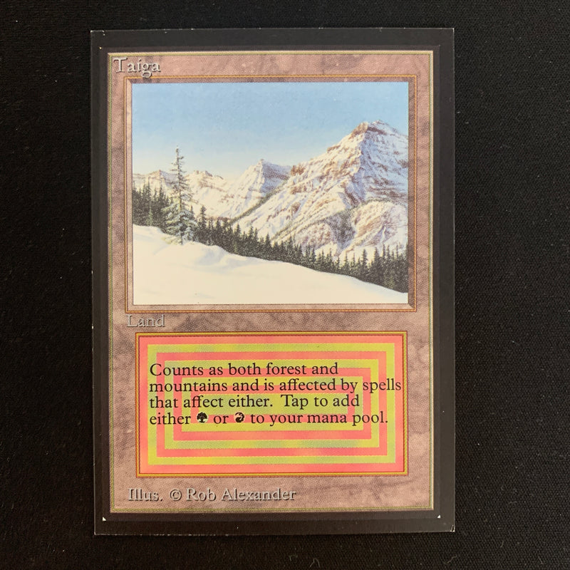 Magic the Gathering Taiga - International Edition 