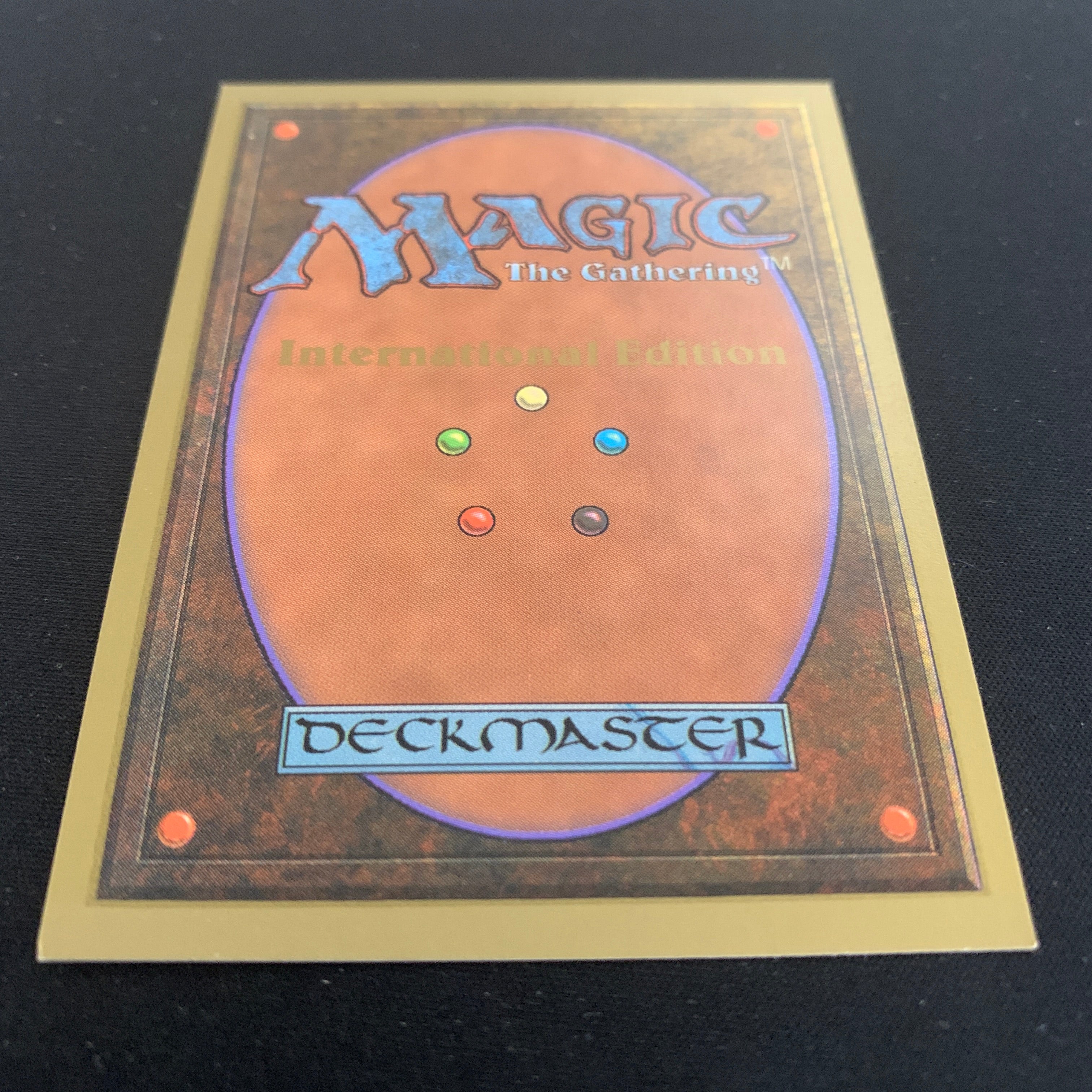 MTG Singles - Taiga - International Edition - 