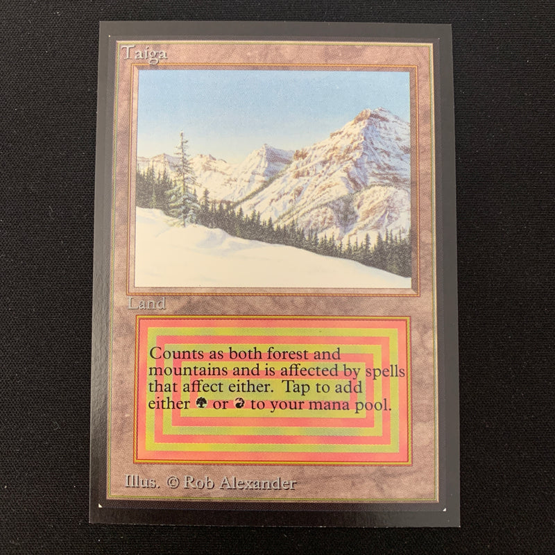 Magic the Gathering Taiga - International Edition 