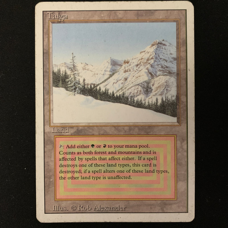 Magic the Gathering Taiga - Revised PL - 24302