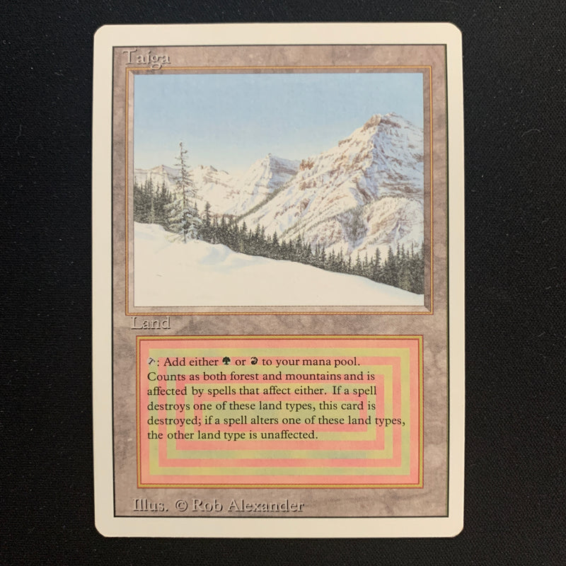 Magic the Gathering Taiga - Revised EX - 24345