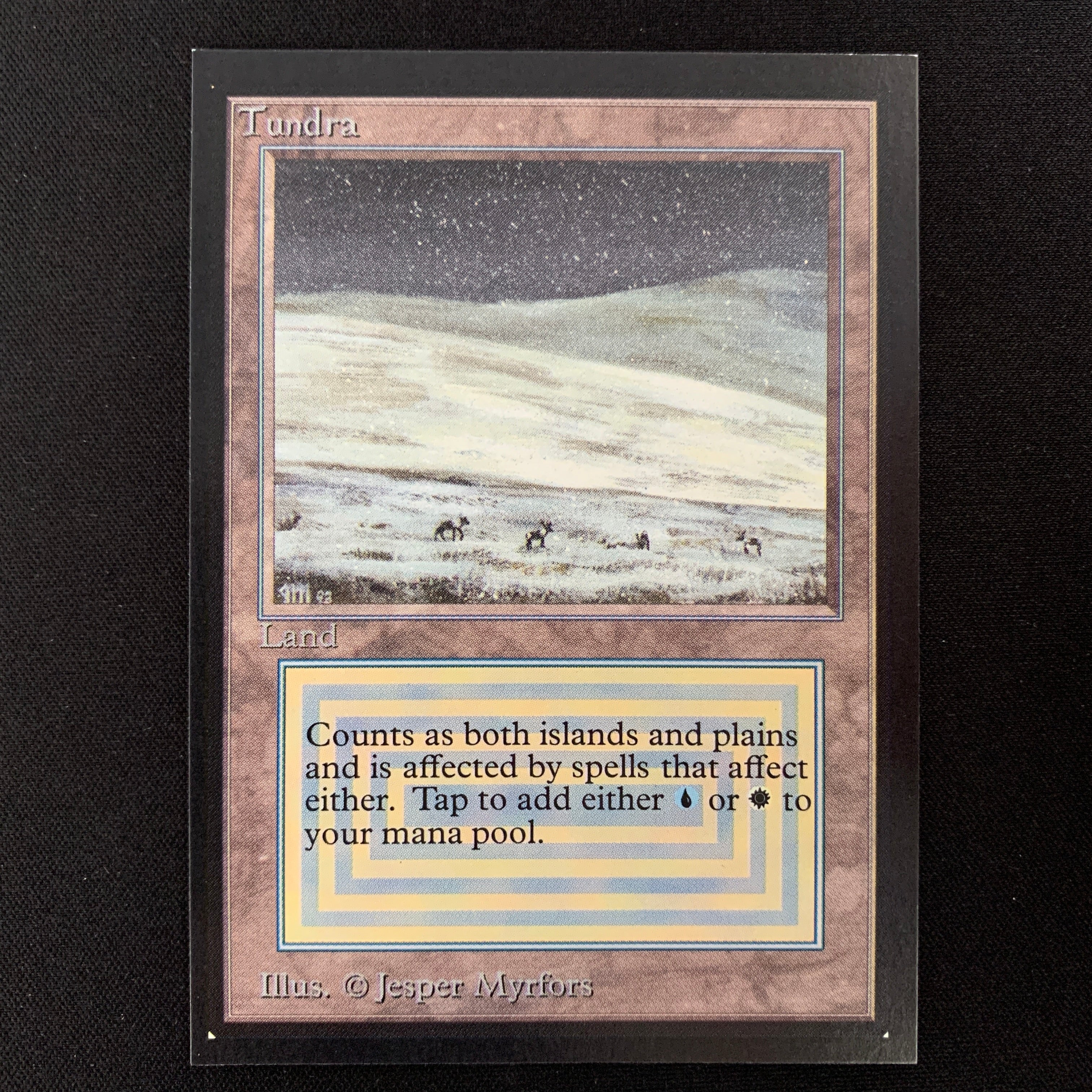 MTG Singles - Tundra - Collectors' Edition - 