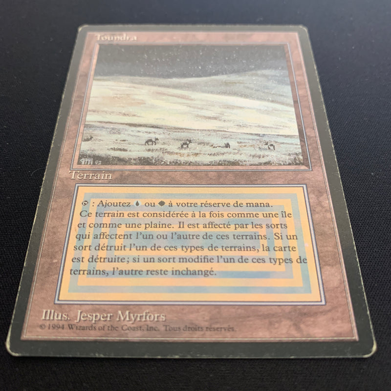 Magic the Gathering Tundra - Foreign Black Bordered - French 