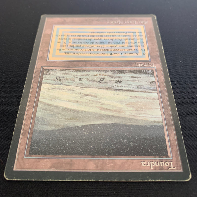 Magic the Gathering Tundra - Foreign Black Bordered - French 