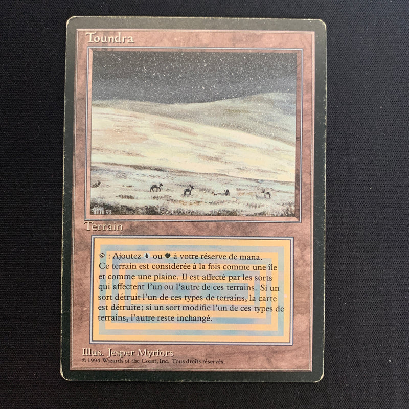 Magic the Gathering Tundra - Foreign Black Bordered - French 