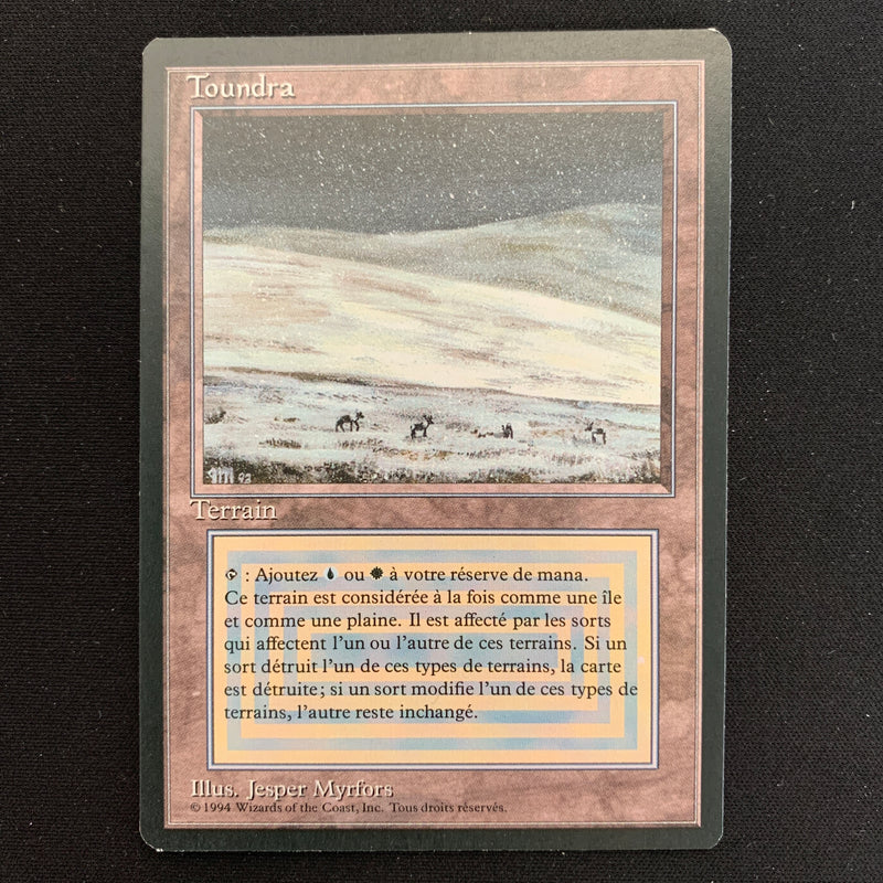 Magic the Gathering Tundra - Foreign Black Bordered - French 