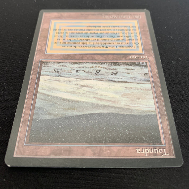 Magic the Gathering Tundra - Foreign Black Bordered - French 