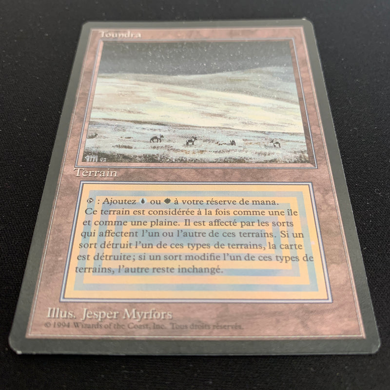 Magic the Gathering Tundra - Foreign Black Bordered - French 