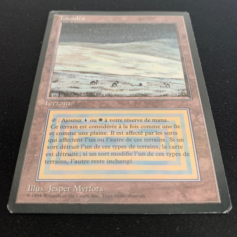 Magic the Gathering Tundra - Foreign Black Bordered - French 