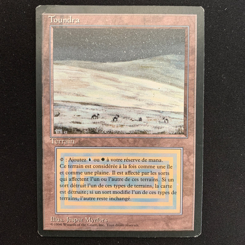 Magic the Gathering Tundra - Foreign Black Bordered - French 