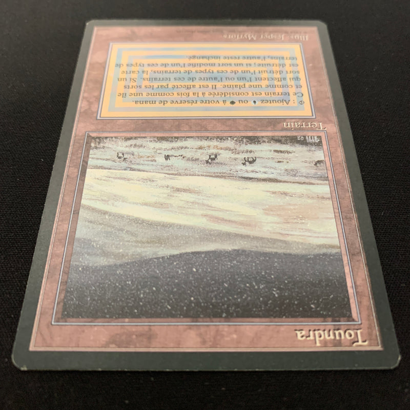 Magic the Gathering Tundra - Foreign Black Bordered - French 