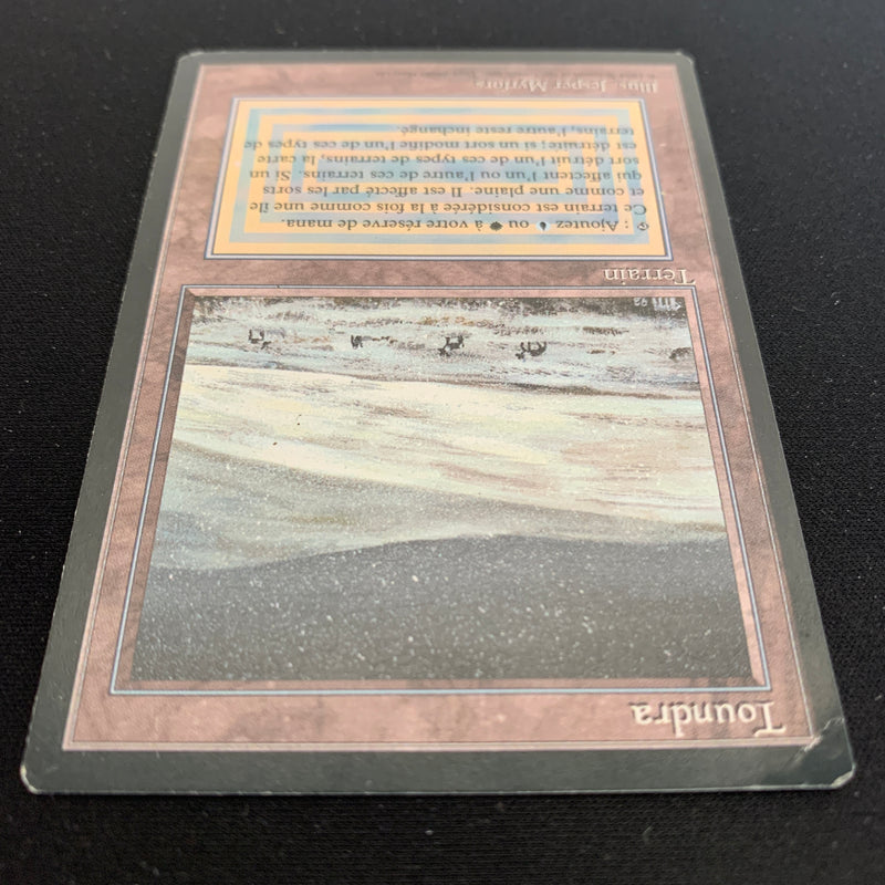 Magic the Gathering Tundra - Foreign Black Bordered - French 