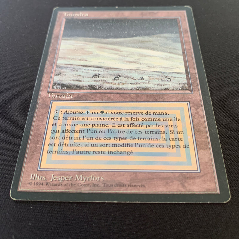 Magic the Gathering Tundra - Foreign Black Bordered - French 