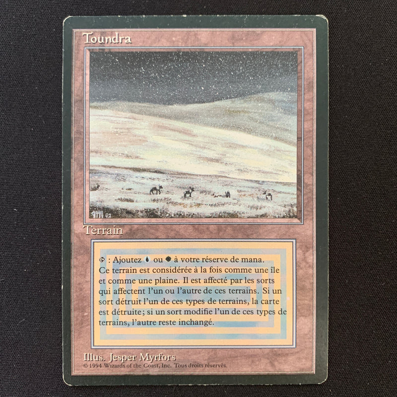 Magic the Gathering Tundra - Foreign Black Bordered - French 