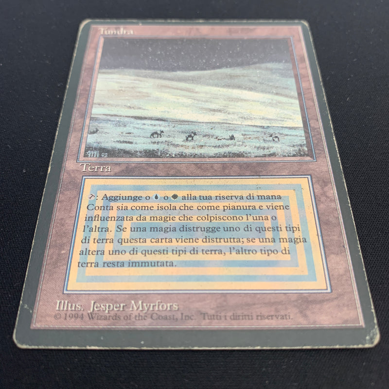 Magic the Gathering Tundra - Foreign Black Bordered - French 