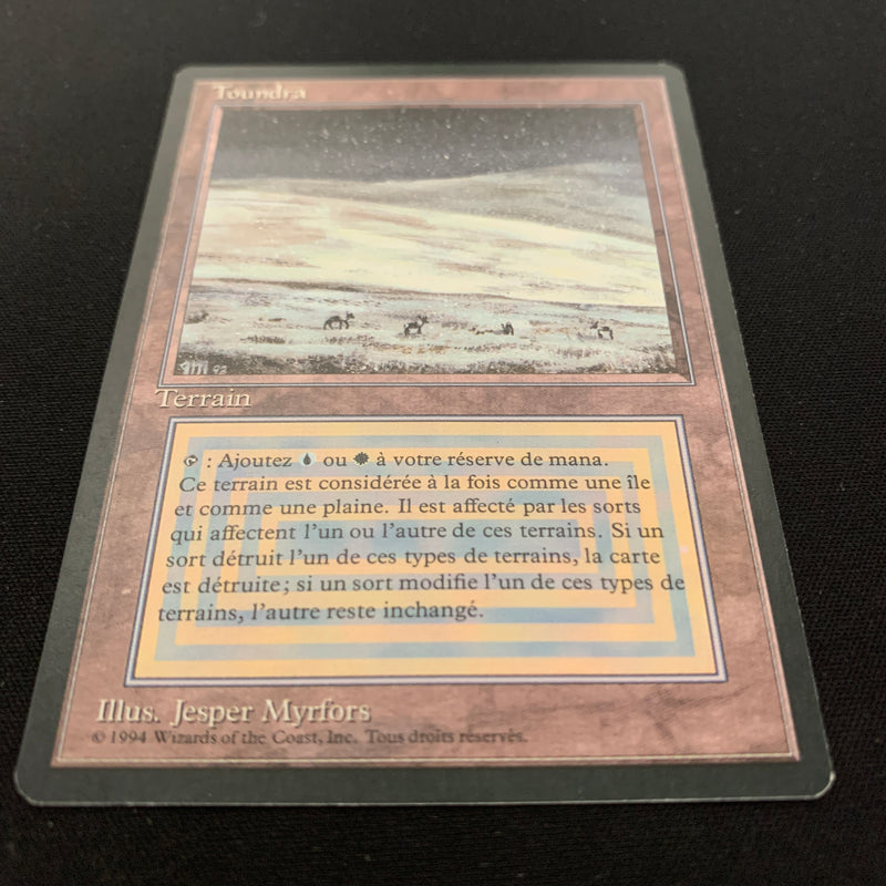 Magic the Gathering Tundra - Foreign Black Bordered - French 