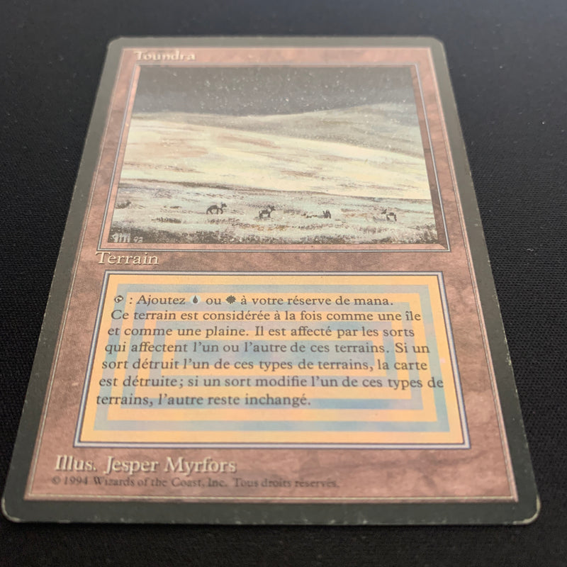 Magic the Gathering Tundra - Foreign Black Bordered - French 