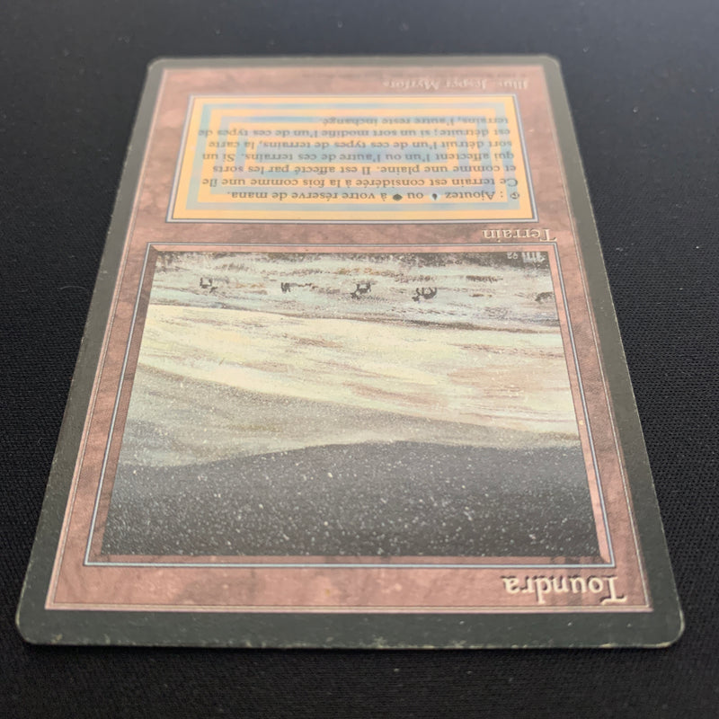 Magic the Gathering Tundra - Foreign Black Bordered - French 